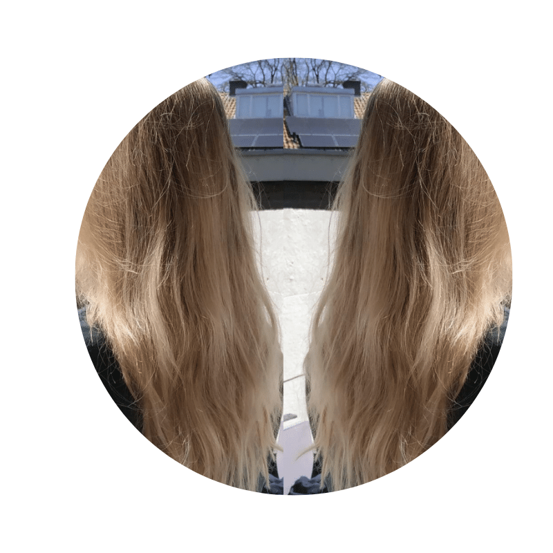 Coloration blond froid Phitofilos - MA PLANETE BEAUTE